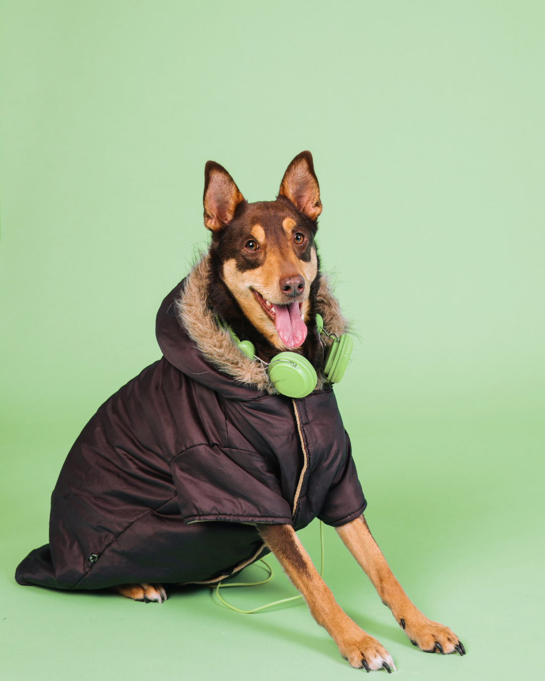 Moda y Estilo