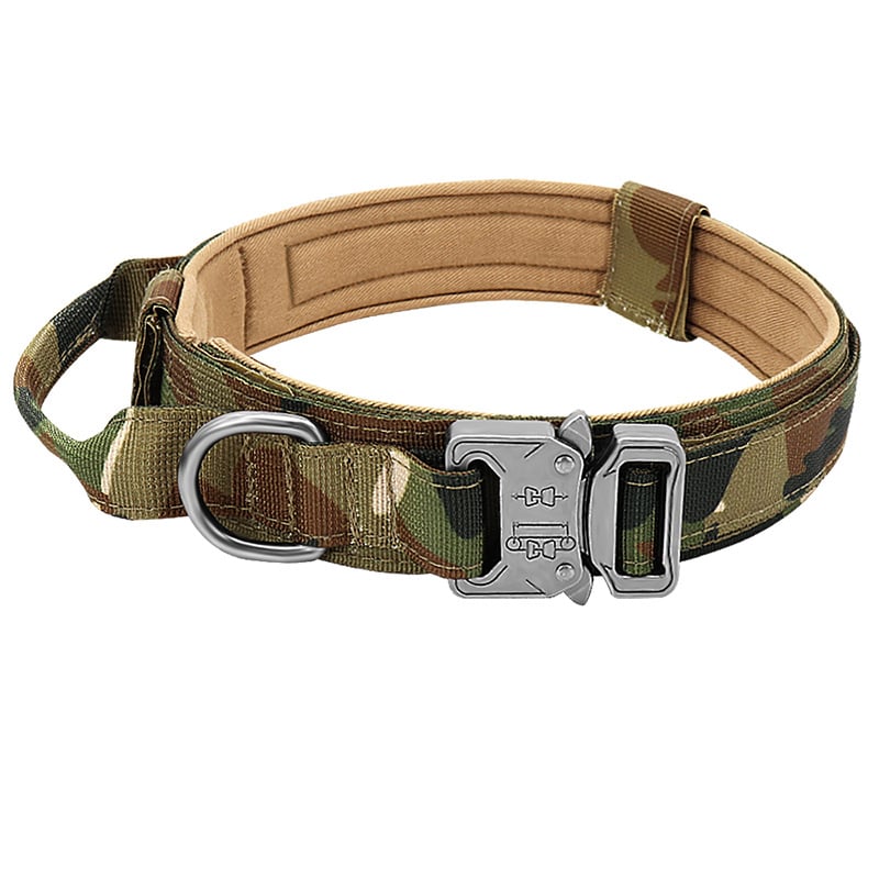 Collar de seguridad para perros