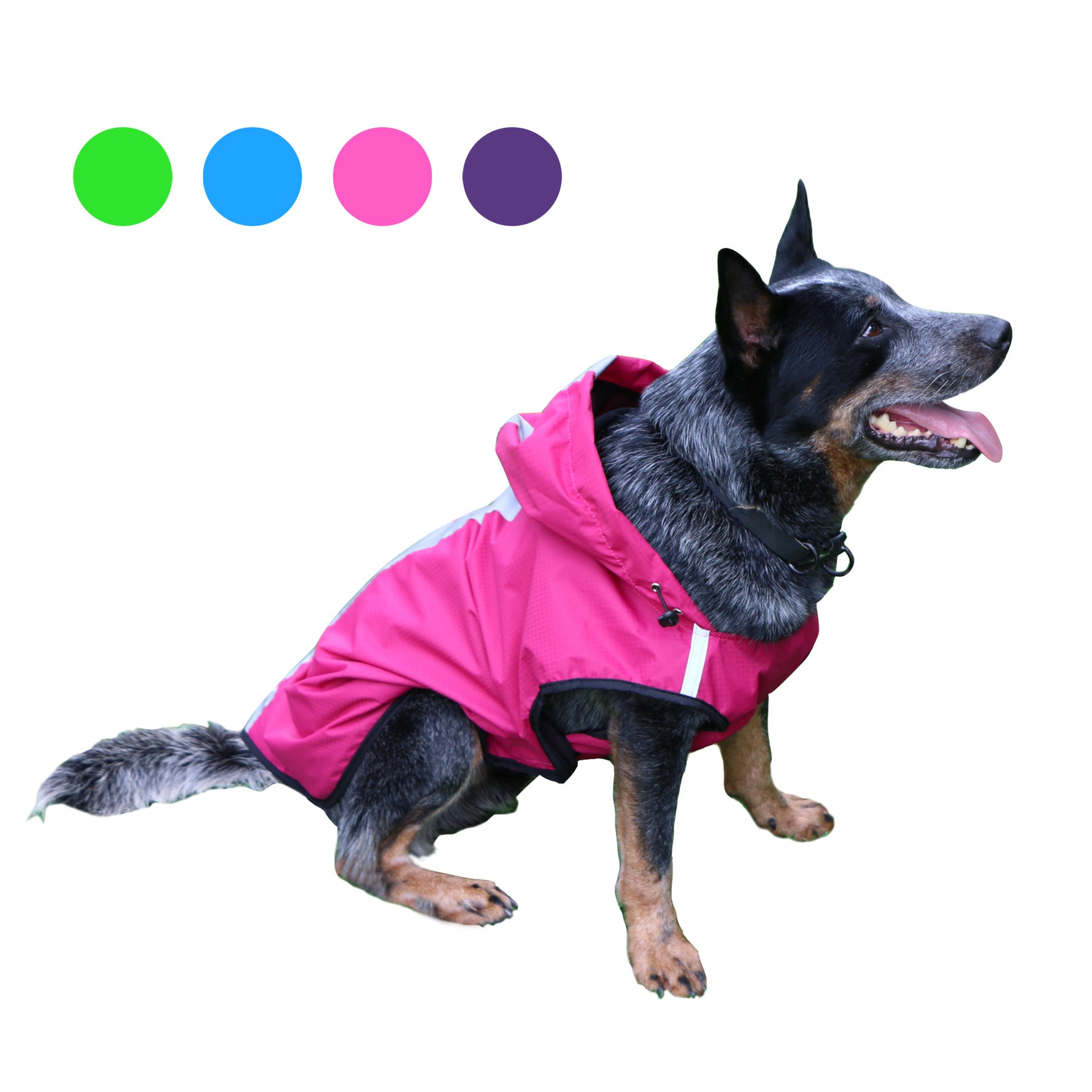 Impermeable para Perros