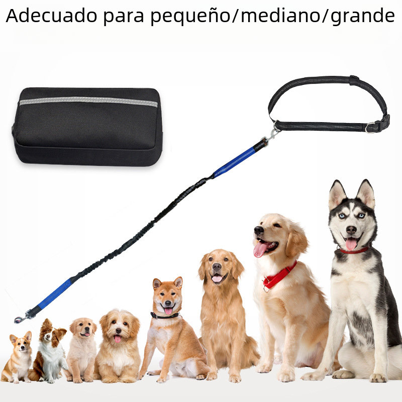 Cinturón para entrenar con correa anti jalones y bolsa