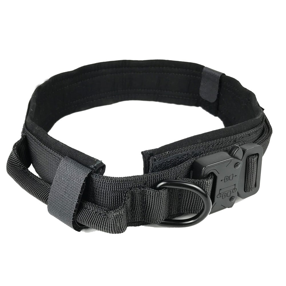 Collar de seguridad para perros
