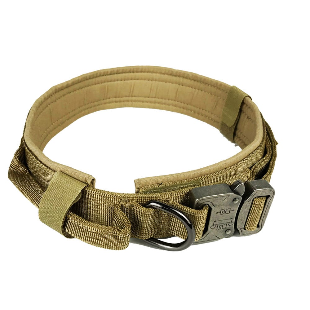 Collar de seguridad para perros