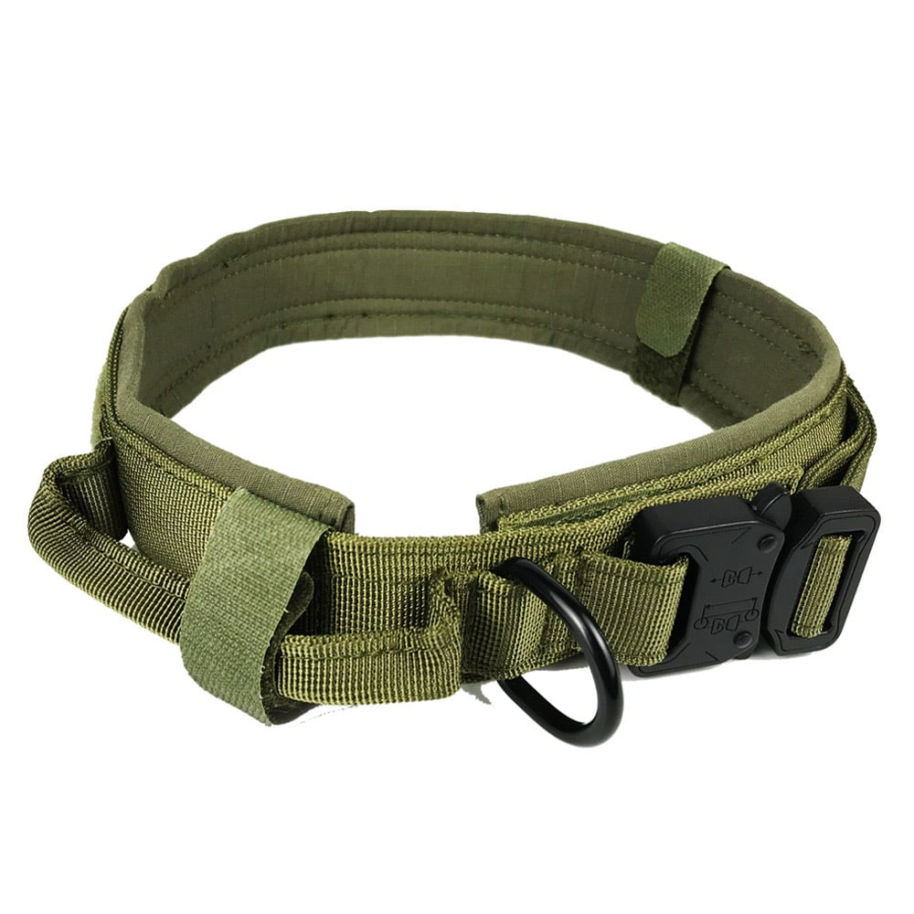 Collar de seguridad para perros