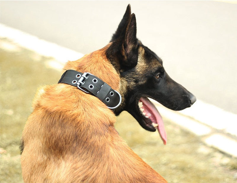 Collar para Perros Medianos y Grandes - Ajustable y Duradero