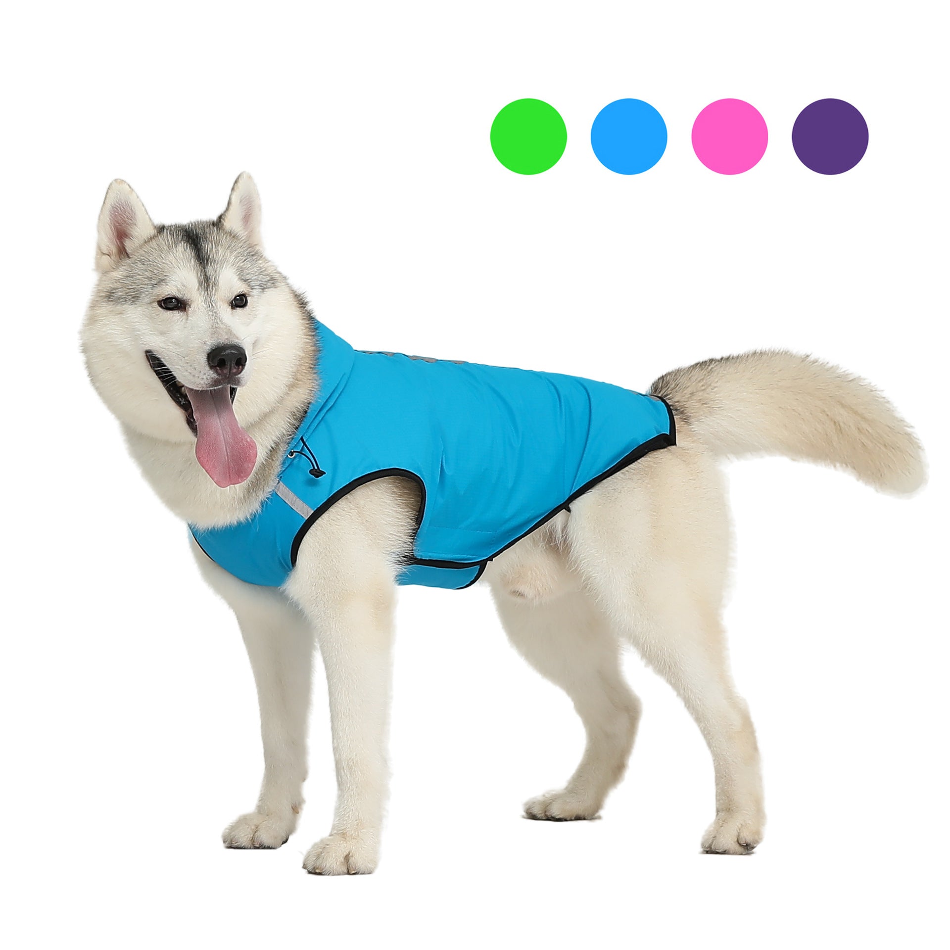 Impermeable para Perros