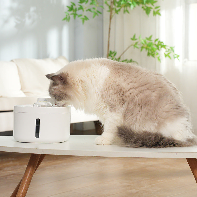 Dispensador de Agua Inalámbrico para Gatos y Mascotas anti bacterias