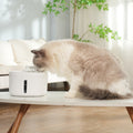 Dispensador de Agua Inalámbrico para Gatos y Mascotas anti bacterias